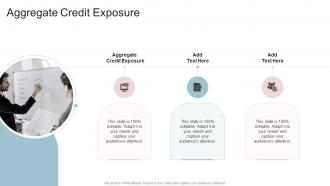 Aggregate Credit Exposure In Powerpoint And Google Slides Cpb