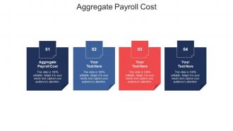 Aggregate payroll cost ppt powerpoint presentation show cpb