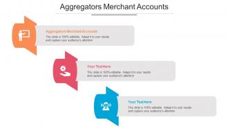 Aggregators Merchant Accounts Ppt Powerpoint Presentation Summary Grid Cpb