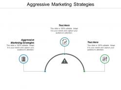 Aggressive marketing strategies ppt powerpoint presentation ideas example cpb
