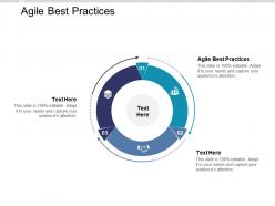 Agile best practices ppt powerpoint presentation ideas graphic tips cpb