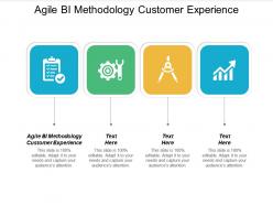 Agile bi methodology customer experience ppt powerpoint presentation portfolio diagrams cpb