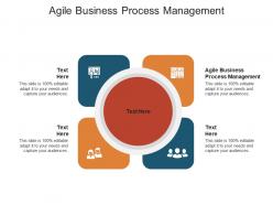 Agile business process management ppt powerpoint presentation model picture cpb
