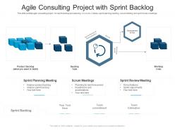 Agile Consulting Project With Sprint Backlog