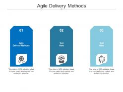 Agile delivery methods ppt powerpoint presentation infographics icon cpb