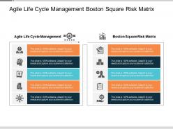 Agile life cycle management boston square risk matrix cpb