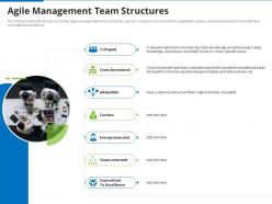 Agile management team structures agile proposal effective project management it