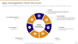 Agile managing plan agile management team structures