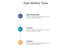 Agile meeting types ppt powerpoint presentation summary structure cpb