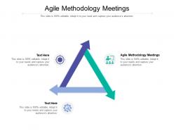 Agile methodology meetings ppt powerpoint presentation icon cpb
