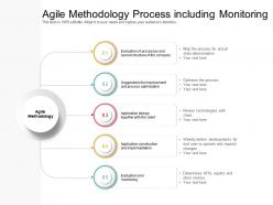 Agile methodology process including monitoring