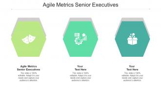 Agile metrics senior executives ppt powerpoint presentationmodel brochure cpb