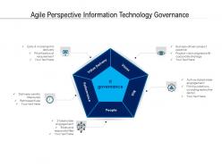 Agile perspective information technology governance