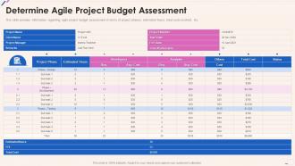 Agile Playbook Determine Agile Project Budget Assessment Ppt Slides Template