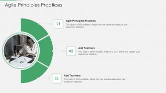 Agile Principles Practices In Powerpoint And Google Slides Cpb
