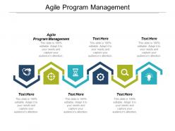 Agile program management ppt powerpoint presentation ideas smartart cpb
