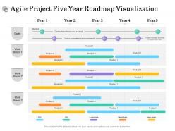 Agile project five year roadmap visualization