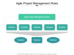 Agile project management roles ppt powerpoint presentation file cpb