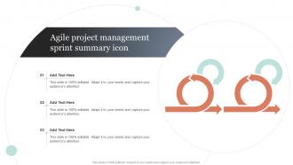Agile Project Management Sprint Summary Icon