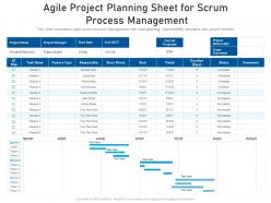 Agile project planning sheet for scrum process management