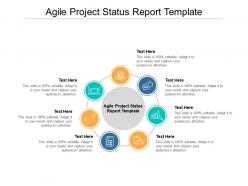 Agile project status report template ppt powerpoint presentation cpb