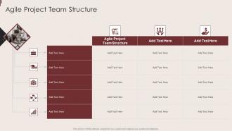 Agile Project Team Structure In Powerpoint And Google Slides Cpb