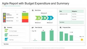 Agile report with budget expenditure and summary