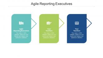 Agile reporting executives ppt powerpoint presentation outline examples cpb