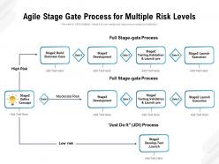 Agile stage gate process for multiple risk levels
