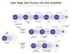 Agile stage gate process with risk scalability