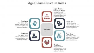 Agile team structure roles ppt powerpoint presentation diagram ppt cpb