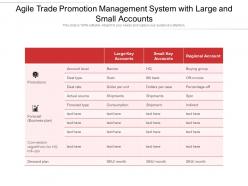 Agile Trade Promotion Management System With Large And Small Accounts
