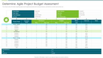 Agile Transformation Approach Playbook Determine Agile Project Budget Assessment