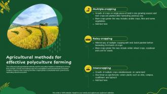 Agricultural Methods For Effective Polyculture Farming