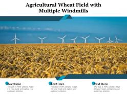 Agricultural wheat field with multiple windmills