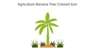 Agriculture Banana Tree Colored Icon In Powerpoint Pptx Png And Editable Eps Format