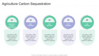 Agriculture Carbon Sequestration Ppt Example Cpp PPT Example