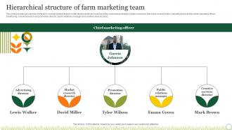 Agriculture Crop Marketing Hierarchical Structure Of Farm Marketing Team Strategy SS V