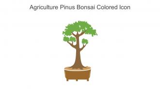Agriculture Pinus Bonsai Colored Icon In Powerpoint Pptx Png And Editable Eps Format