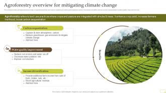 Agroforestry Overview For Mitigating Climate Change Complete Guide Of Sustainable Agriculture Practices
