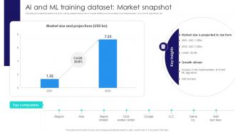 AI And ML Training Dataset Market Snapshot