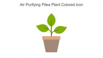 Air Purifying Pilea Plant Colored Icon In Powerpoint Pptx Png And Editable Eps Format