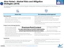 Akzo Nobel Market Risks And Mitigation Strategies 2018