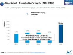 Akzo nobel shareholders equity 2014-2018