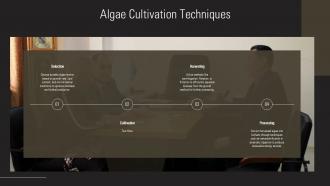 Algae Cultivation Techniques Ppt Presentation ST AI SS