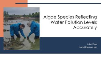 Algae Species Reflecting Water Pollution Levels Accurately PPT Mockup AT