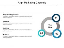 Align marketing channels ppt powerpoint presentation summary designs cpb