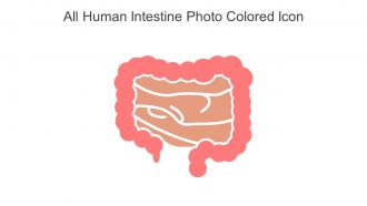 All Human Intestine Photo Colored Icon In Powerpoint Pptx Png And Editable Eps Format