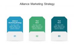 Alliance marketing strategy ppt powerpoint presentation ideas gallery cpb