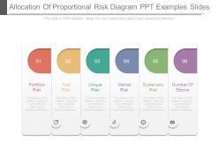 Allocation of proportional risk diagram ppt examples slides
